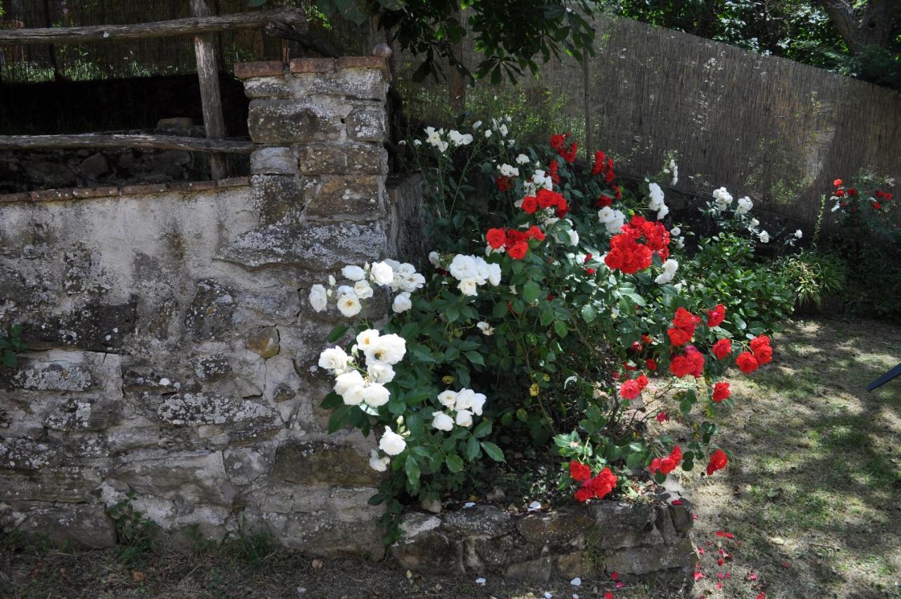 Universal Harmony - Cinciallegra Farm stay Dicomano