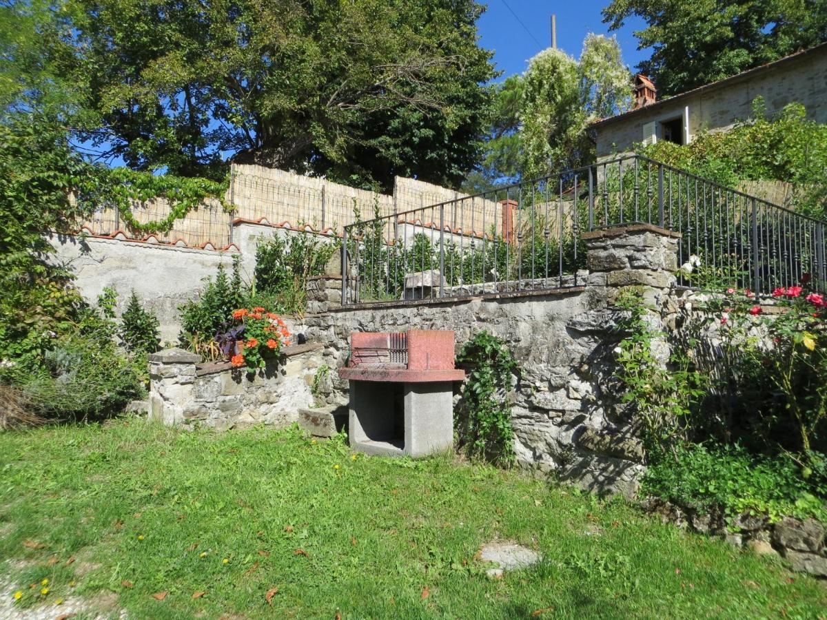 Farm stay Universal Harmony - Cinciallegra *